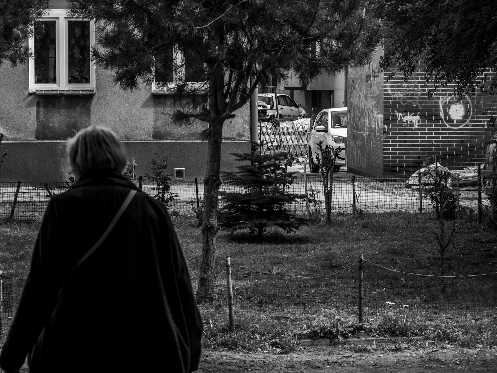 Panorama miasta Wałcz z widocznym jeziorem i zabudowaniami